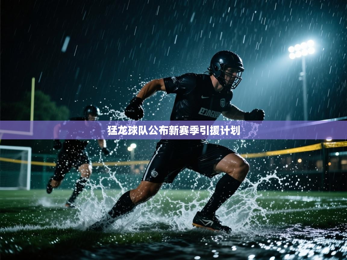 -猛龙球队公布新赛季引援计划