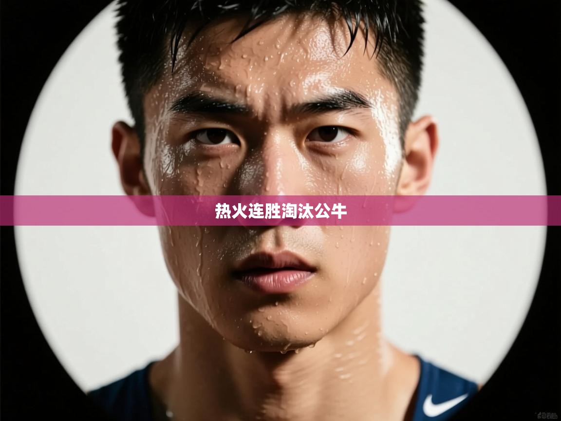 欢娱游戏平台-热火连胜淘汰公牛