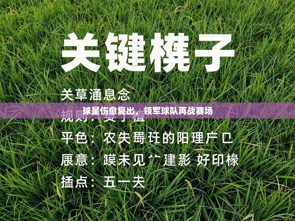 爱游戏下载-球星伤愈复出,领军球队再战赛场 第3张
