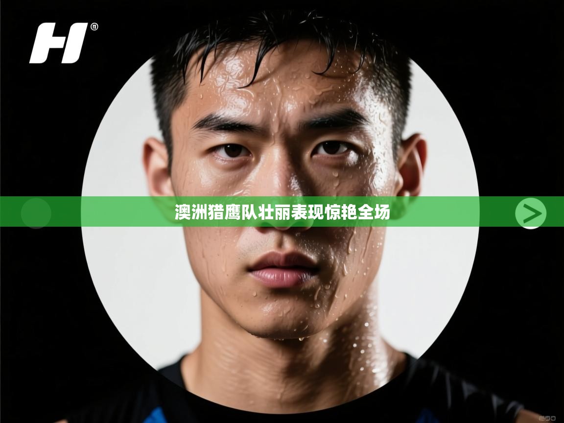 爱游戏娱乐app下载-澳洲猎鹰队壮丽表现惊艳全场 第3张