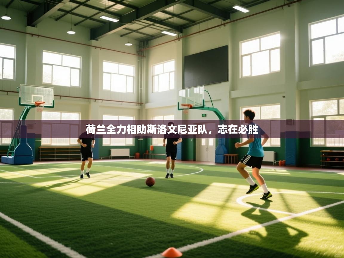 爱游戏直播-荷兰全力相助斯洛文尼亚队,志在必胜 第2张